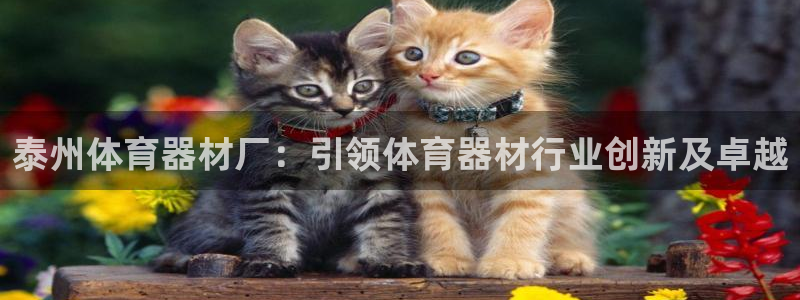 耀世娱乐骗局是真的吗：泰州体育器材厂：引领体育器材行