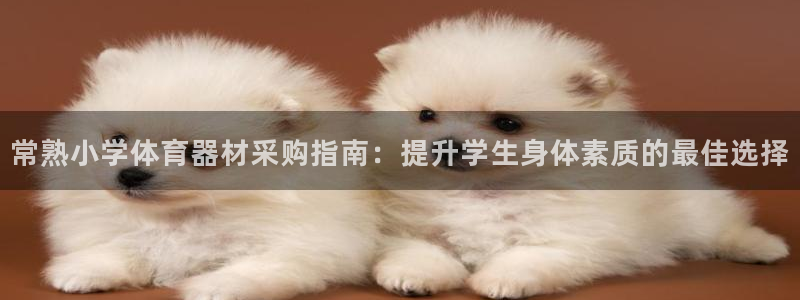 耀世是什么车：常熟小学体育器材采购指南：提升学生身体