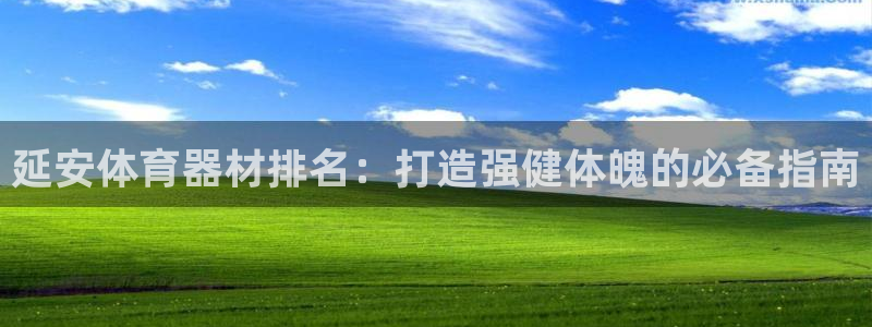 耀世盛典官网下载：延安体育器材排名：打造强健体魄的必