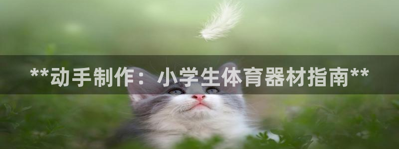 耀世娱乐app下载官网