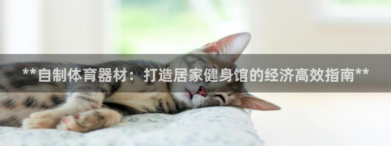 耀世和耀至的区别：**自制体育器材：打造居家健身馆的
