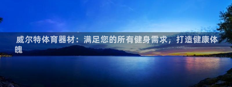 耀世娱乐是玛雅旗下的吗知乎： 威尔特体育器材：满足您