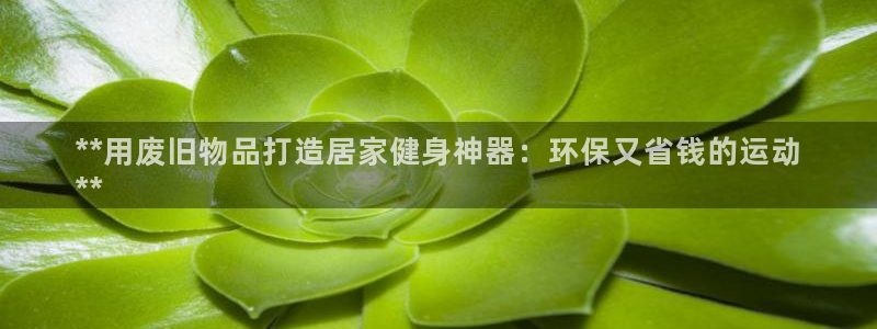 耀世国际平台正规吗可靠吗安全吗：**用废旧物品打造居