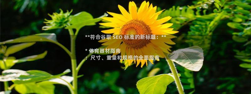 耀世平台注册网址：**符合谷歌 SEO 标准的新标题