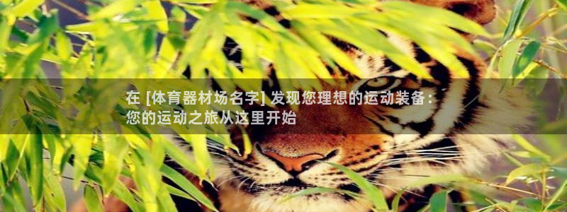 耀世天下的近义词是什么：在 [体育器材场名字] 发现