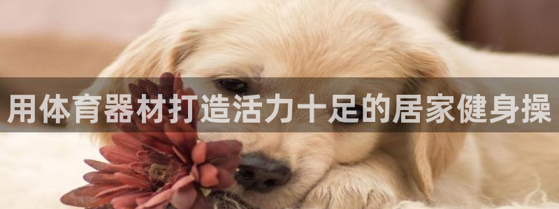 耀世娱乐平台注册登录不了：用体育器材打造活力十足的居