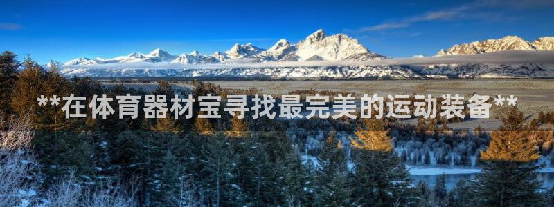 耀世平台注册链接怎么弄：**在体育器材宝寻找最完美的