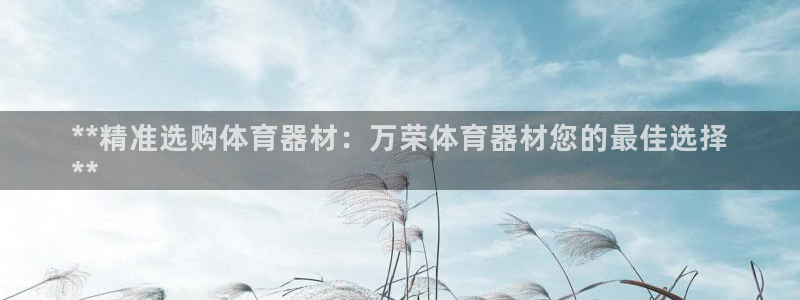 耀世娱乐在线登录官网入口：**精准选购体育器材：万荣