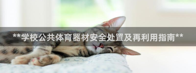 耀世娱乐脚本下载安装：**学校公共体育器材安全处置及