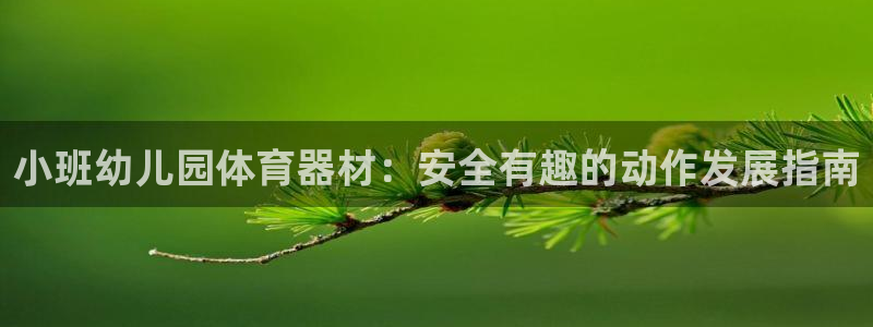 耀世娱乐是正规还是仿真：小班幼儿园体育器材：安全有趣