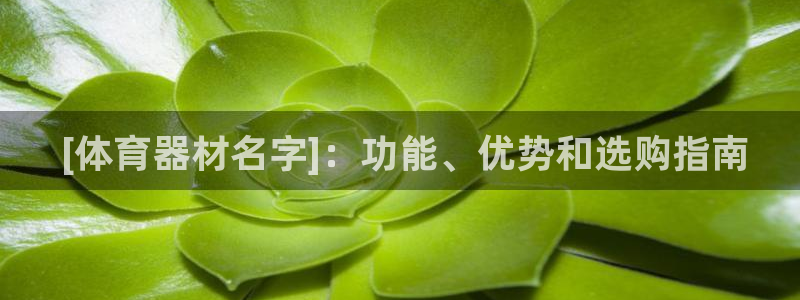 耀世集团视频直播： [体育器材名字]：功能、优势和选