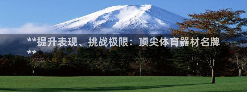 耀世平台拿什么输入账号密码：**提升表现、挑战极限：