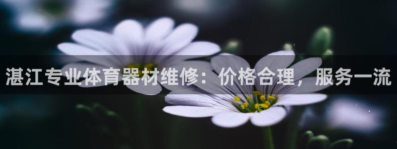 耀世集团视频直播是真的吗：湛江专业体育器材维修：价格