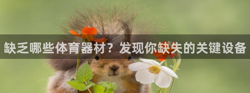 耀世娱乐中国：缺乏哪些体育器材？发现你缺失的关键设备