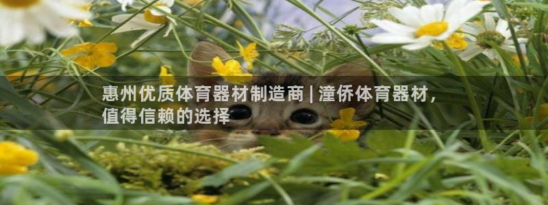 耀世集团商业联盟招聘：惠州优质体育器材制造商 | 潼