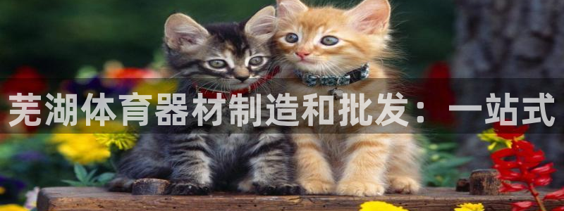 耀世娱乐注册等7O777：芜湖体育器材制造和批发：一