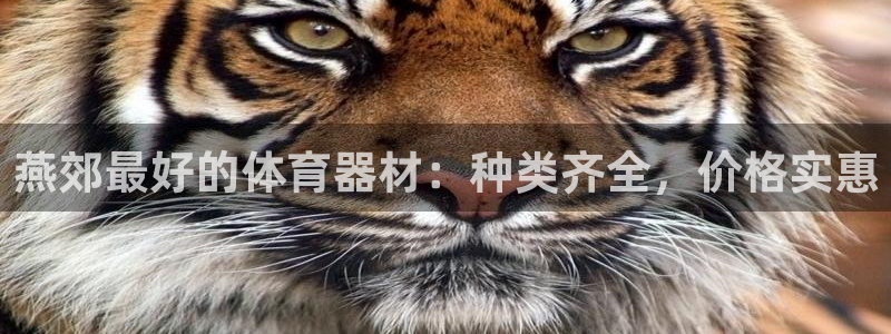 耀世娱乐软件下载：燕郊最好的体育器材：种类齐全，价格