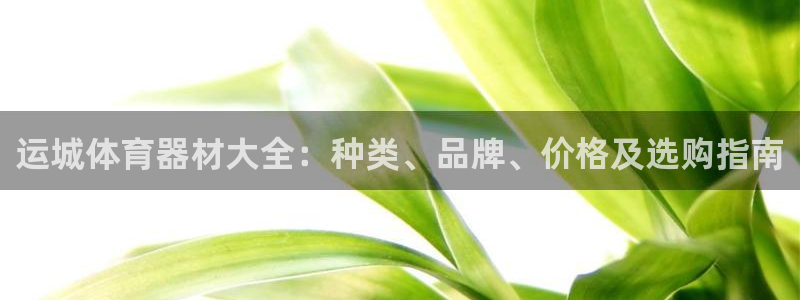 耀世盛典官网：运城体育器材大全：种类、品牌、价格及选