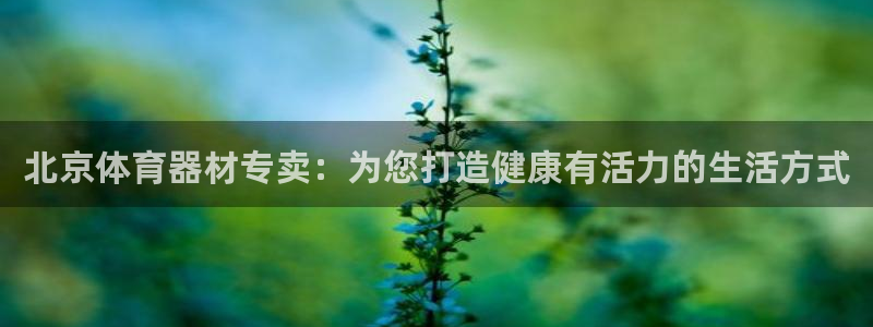 耀世平台代理多少钱一次：北京体育器材专卖：为您打造健