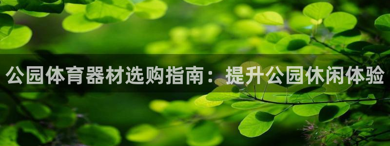 耀世平台网站：公园体育器材选购指南：提升公园休闲体验