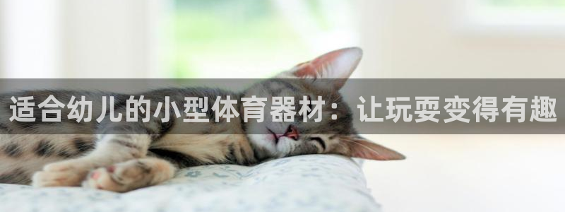 耀世平台升 5O6917 平台：适合幼儿的小型体育器