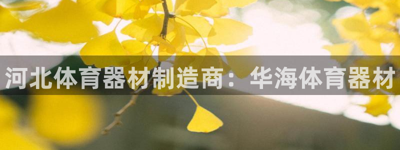 耀世平台升 411O31 耀世：河北体育器材制造商：