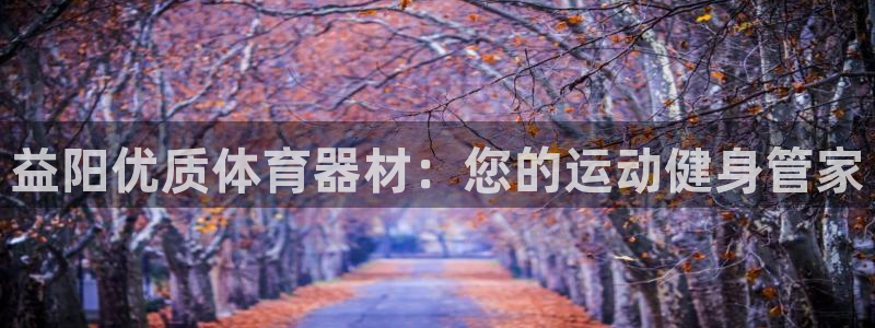 耀世天下是什么意思啊：益阳优质体育器材：您的运动健身