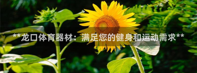 耀世娱乐是正规还是仿：**龙口体育器材：满足您的健身