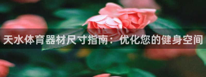 耀世娱乐平台官网入口：天水体育器材尺寸指南：优化您的