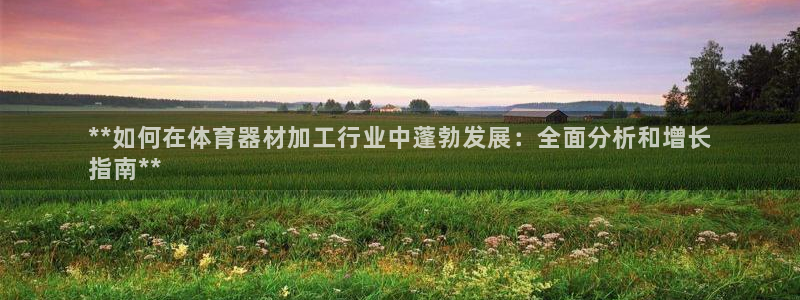 耀世娱乐挂机：**如何在体育器材加工行业中蓬勃发展：