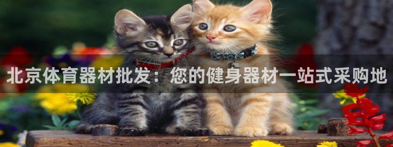 耀世娱乐腾讯分分彩：北京体育器材批发：您的健身器材一