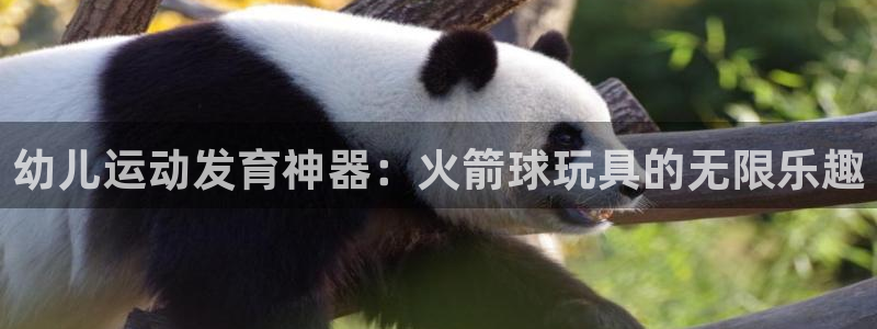 耀世国际平台正规吗可靠吗可信吗：幼儿运动发育神器：火