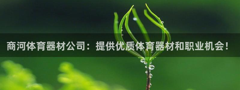 耀世平台注册登录不上：商河体育器材公司：提供优质体育