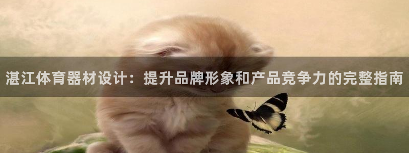 耀世娱乐百科最新：湛江体育器材设计：提升品牌形象和产
