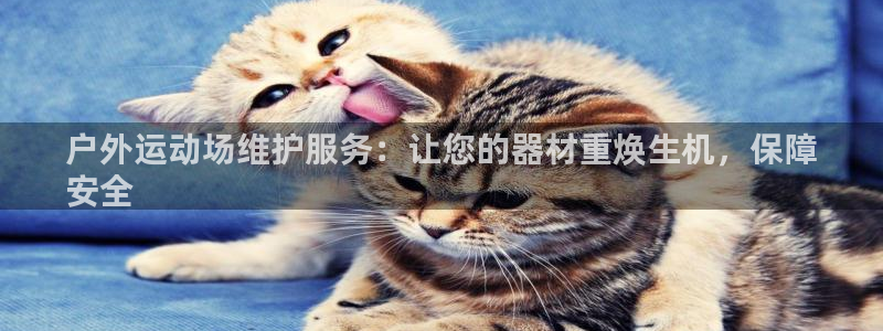 耀世娱乐招商注册 知乎是真的吗：户外运动场维护服务：