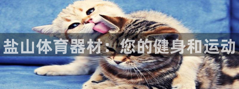 耀世娱乐app下载安装苹果：盐山体育器材：您的健身和
