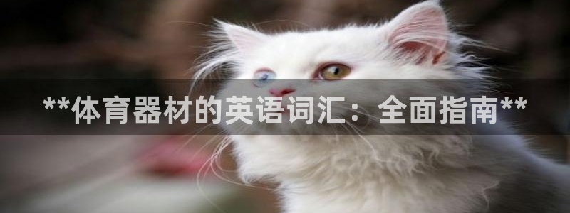 耀世集团耀哥：**体育器材的英语词汇：全面指南**