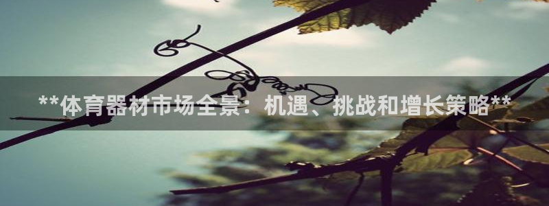 耀世平台寇 5O6917 耀世：**体育器材市场全景