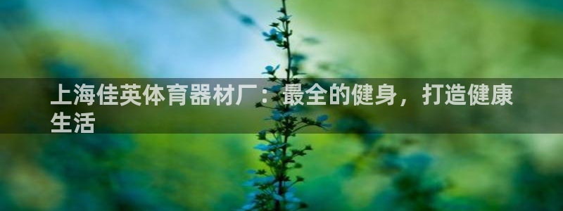 耀世国际平台正规吗：上海佳英体育器材厂：最全的健身，