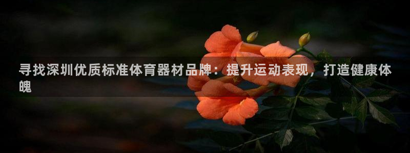 耀世娱乐注册账号：寻找深圳优质标准体育器材品牌：提升
