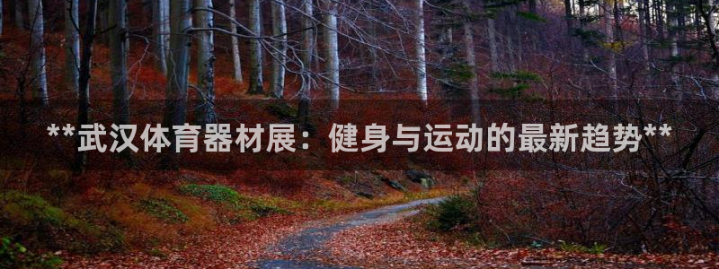 耀世娱乐平台注册地址在哪里查：**武汉体育器材展：健