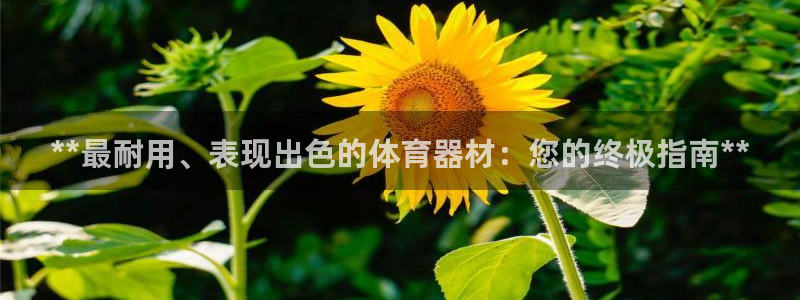 耀世娱乐合法吗：**最耐用、表现出色的体育器材：您的