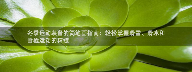 耀世传媒好吗：冬季运动装备的简笔画指南：轻松掌握滑雪