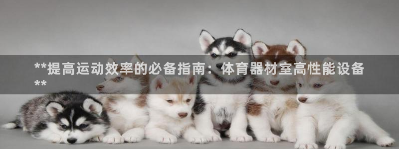 耀世娱乐是玛雅旗下的吗：**提高运动效率的必备指南：