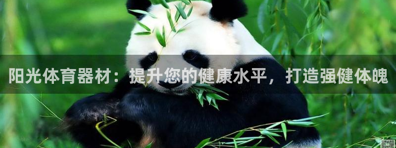 耀世国际平台正规吗可靠吗可信吗：阳光体育器材：提升您