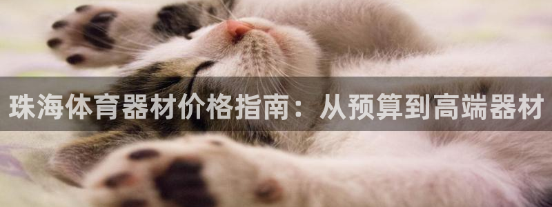 耀世娱乐总代理电话：珠海体育器材价格指南：从预算到高