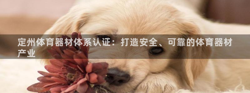 耀世集团商业联盟