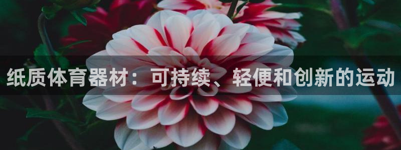 耀世盛典下载：纸质体育器材：可持续、轻便和创新的运动