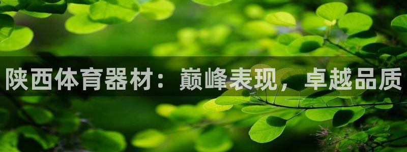 耀世集团董事长简介：陕西体育器材：巅峰表现，卓越品质