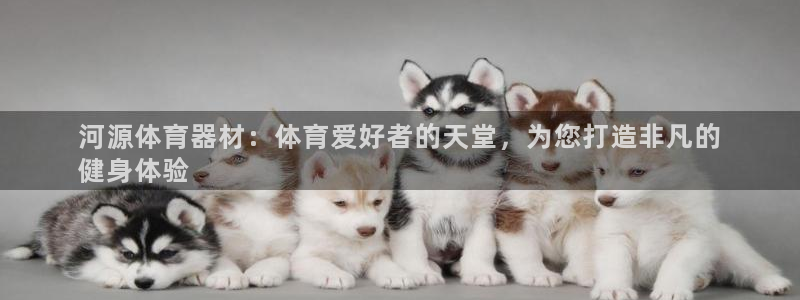 耀世微光歌词：河源体育器材：体育爱好者的天堂，为您打